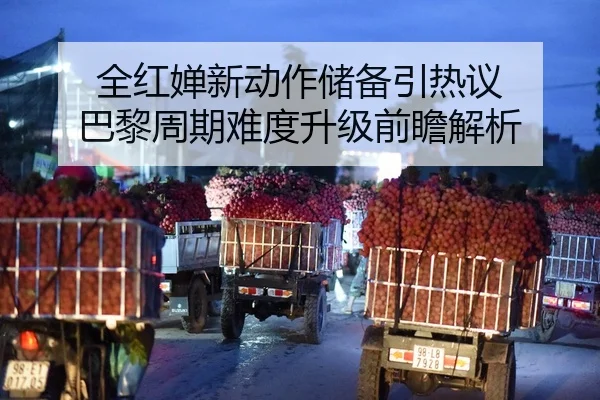 全红婵新动作储备引热议 巴黎周期难度升级前瞻解析